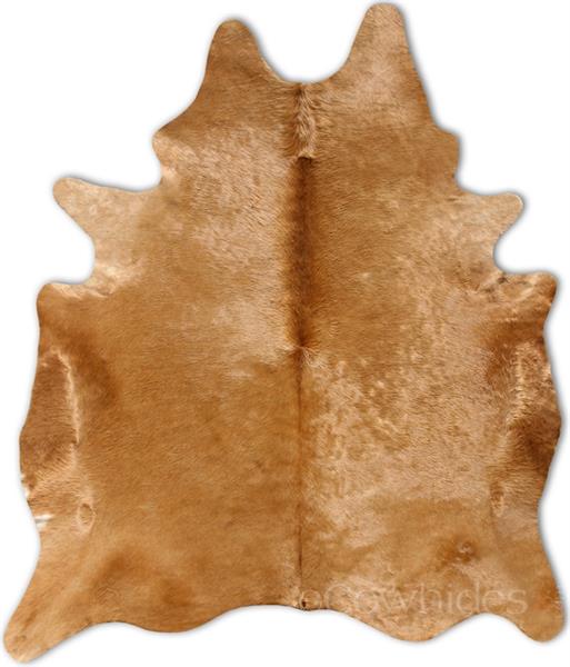 camel cow leather